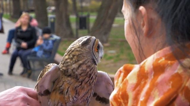 Царь-шаурма. Прогулка по Лодзи смотреть онлайн