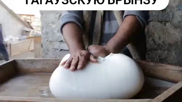 Как готовят гагаузскую овечью брынзу