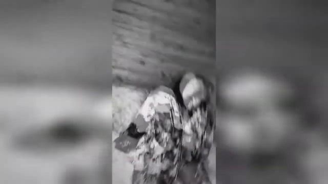 MAYOT x OG.Buda — Отрывок нового трека смотреть онлайн