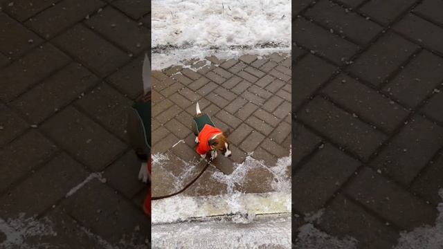 Первая дорога Каспера смотреть онлайн