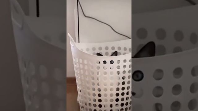 Блоховоз следит за тобой! смотреть онлайн