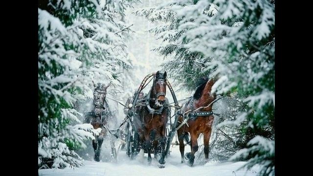 Василий Макеев. Ах, сани, кони смотреть онлайн