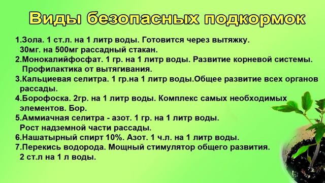Подкормка рассады Не мучайтесь! смотреть онлайн
