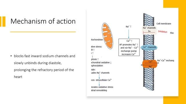 #flecainide | Uses, Dosage, Side Effects & Mechanism | Tambocor