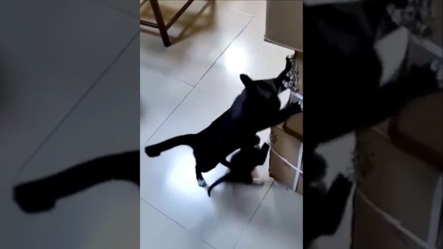 Мать фигне не научит! смотреть онлайн