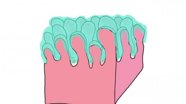 Действие компонентов ИнтиГель