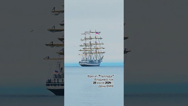 #владивосток #деньвмф смотреть онлайн