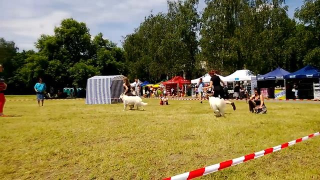 WP 20130616 0301] смотреть онлайн