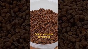 Перга - источник витаминов
