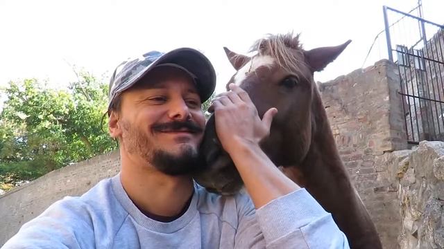 Konj | Suri orao | ŽIVOTINJSKO CARSTVO za decu | Andrej Maričić смотреть онлайн