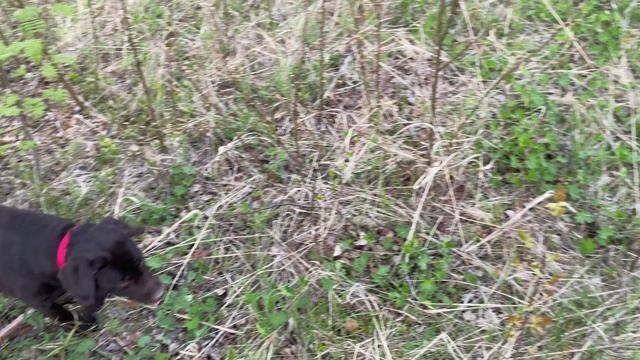 Неожиданная находка