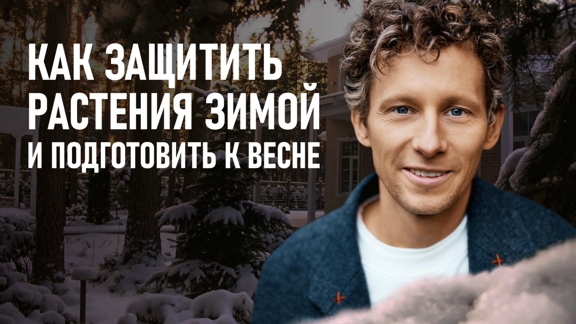 Сад на сложном участке: как защитить растения зимой и подготовить к весне? смотреть онлайн