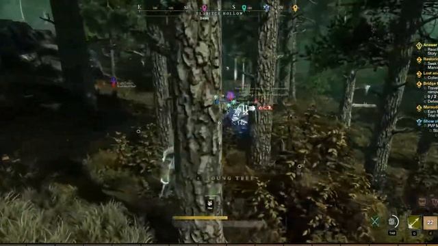 New World, делаем word PvP смотреть онлайн