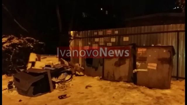 На контейнерной площадке на улице Самойлова в Иванове поселились крысы смотреть онлайн