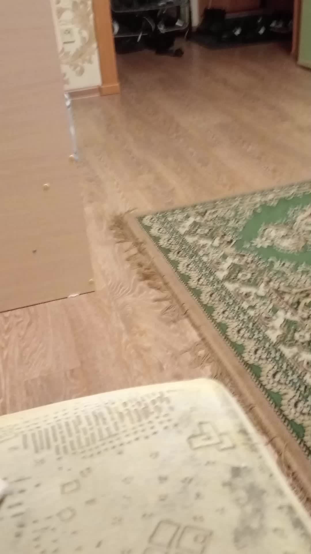 ночёвка с Димой