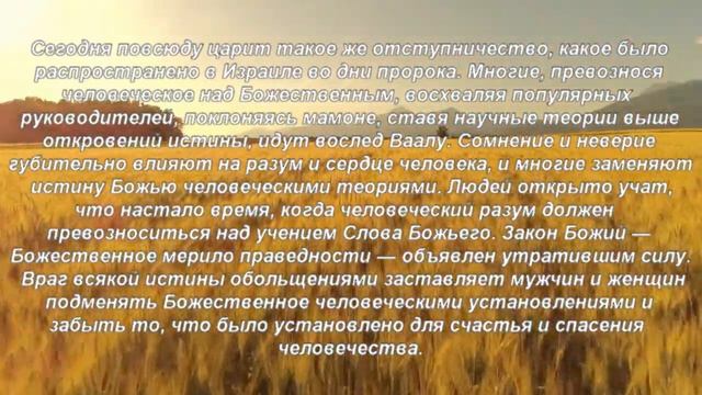 Книга «Борьба и мужество: Сегодня необходимы Илии» (Элен Уайт) (глава 7.28) смотреть онлайн