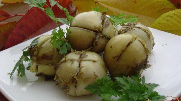 1000 и 1 рецепт