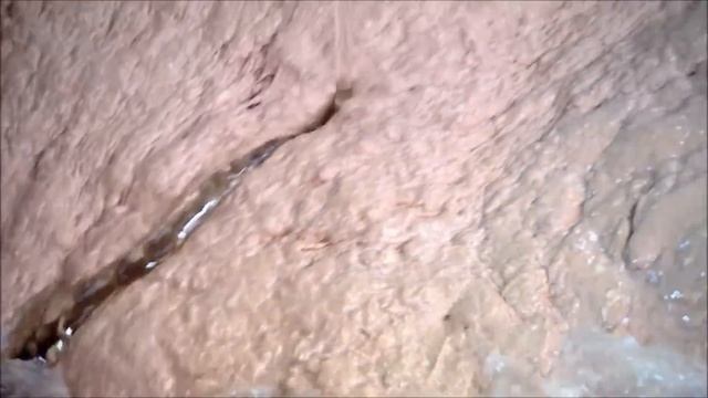 How It's Actually Made - Hot Dogs смотреть онлайн