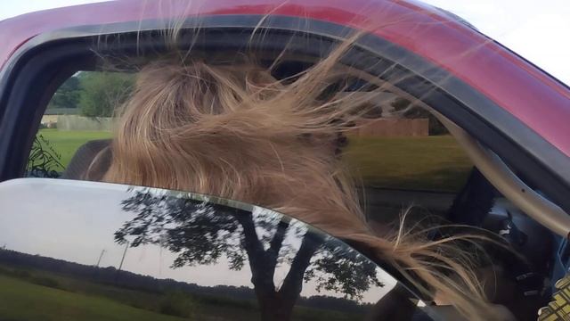 2 Audio Ace Wild 12's on a Wolfram 4500 смотреть онлайн