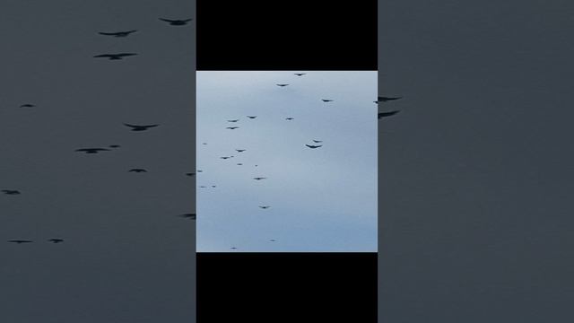 03.01.2025 смотреть онлайн