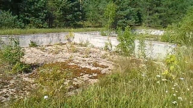2015 07 Тверь Медное пионерский лагерь Юный Гагарин 20150726 154650 смотреть онлайн