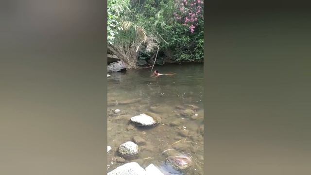 Ручей Эль Аль и его водопады.20.05.2023. смотреть онлайн