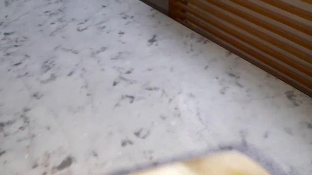 Chausse-pied en araignée Swarovski Pasotti / Pasotti shoe horn in Swarovski crystals смотреть онлайн