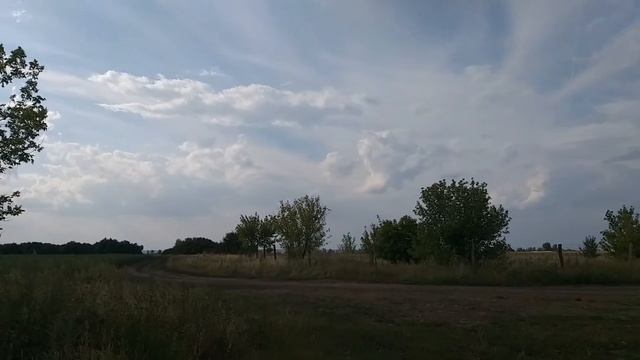 Утята) смотреть онлайн