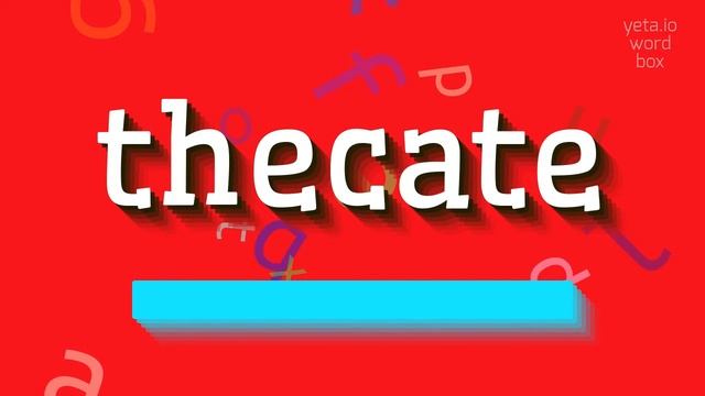 THECATE - HOW TO PRONOUNCE IT? #thecate смотреть онлайн