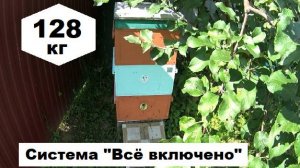Система Все включено . Медосбор 2024.
