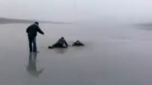 провалились под лед