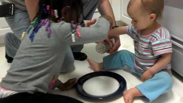 Science experiment oregano 4-2-12 смотреть онлайн