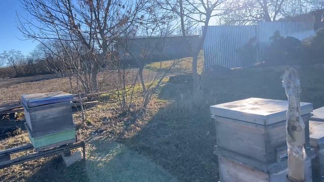 Январский облет пчел. 1-й ролик на Рутуб. смотреть онлайн