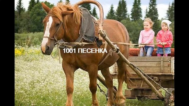 ПЕСЕНКА про лошадку смотреть онлайн
