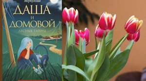 Книга Натальи Меркуловой «Даша и Домовой»