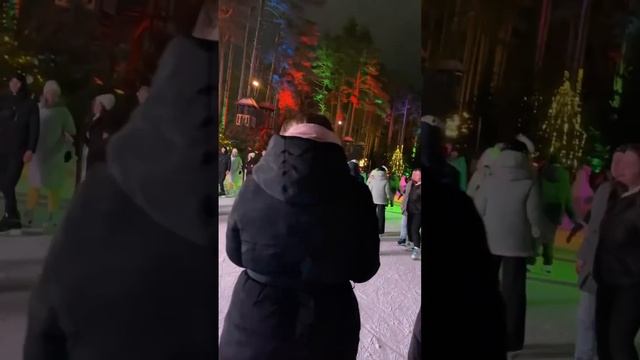 Лесной каток в Охта парке смотреть онлайн