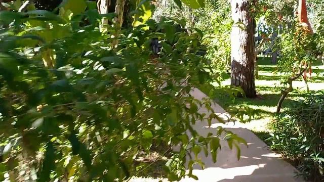 Турция Selectum Family Resort Belek 5 Территория отеля