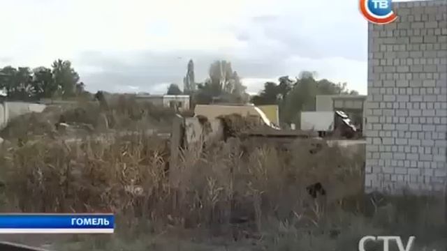 В Гомеле бешеный лось напал на гаражный кооператив смотреть онлайн