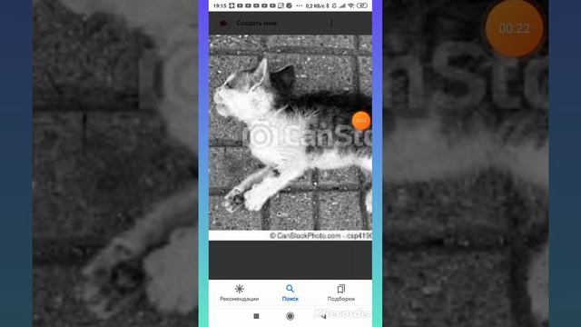 Бездомные котята, кошки и коты😭😭😭❤️❤️❤️❤️❤️❤️❤️❤️ смотреть онлайн