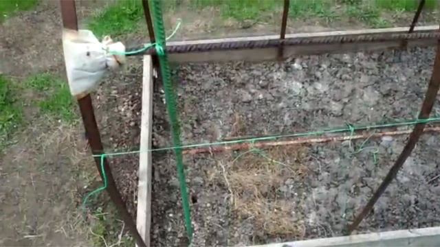 Подвязка высоких томатов. По взрослому смотреть онлайн