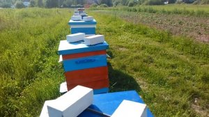 Огромный плюс сетчатого дна. Семья на сетчатом дне после сильных морозов.