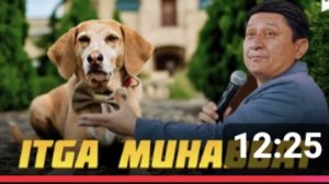 Avaz ohun Itga muhabbat