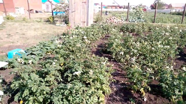 Огород смотреть онлайн