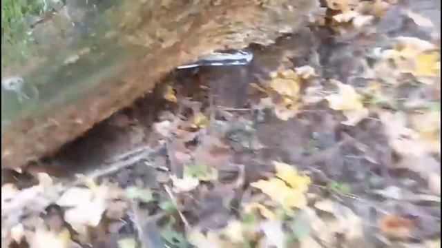 В поисках находок и антиквариата   часть 1