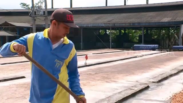 Begini Cara Pengolahan Kakao смотреть онлайн