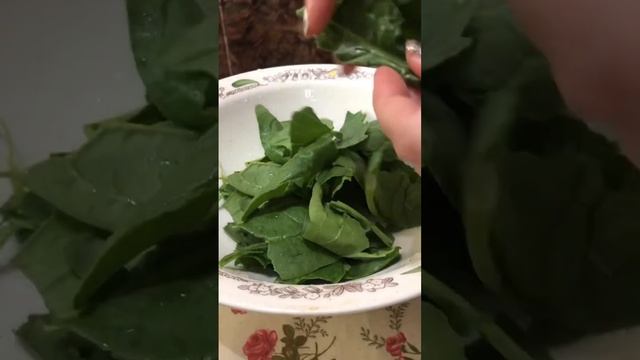 Рубрика: ремонт отдыхает или #кастрюльКА 🍲 Летний лёгкий супчик из шпината для красоты и здоровья! смотреть онлайн