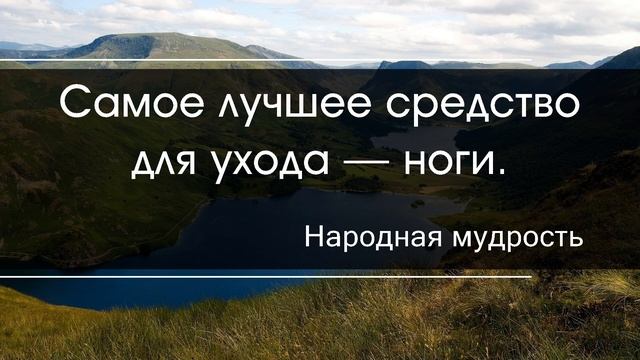 😍17.07.2022. Вечерние смешные цитаты, афоризмы и высказывания😍 смотреть онлайн