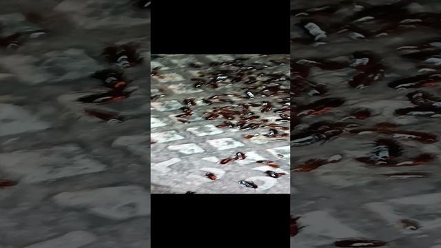 Ничёси, Ульяновск... #ульяновск #ульск #ульск73 #ulsk смотреть онлайн