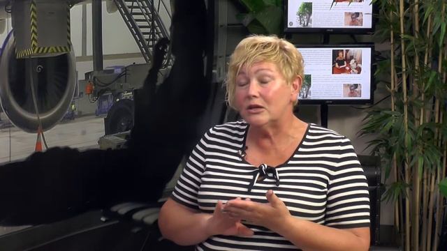 Ольга Сергеева - автор книги "Под алыми парусами от Арктики до Антарктики" смотреть онлайн