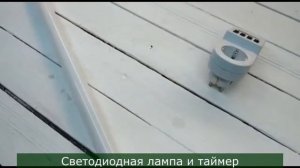 ШПАРГАЛКА 5.Подсветка рассады основное.